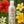 Pikake Jasmine- 8.5 oz. Botanical Lotion