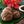 Ka'u Coffee Shortbread Cookies