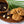 Chocolate Chip Macadamia Nut Shortbread Cookies