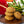 Lilikoi Shortbread Cookies