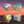 Aloha Gift Box Annual Subscription – Get One Box Free – view 10
