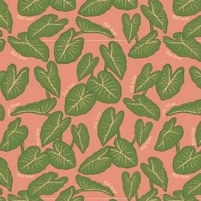 Kitchen Towels Sets (set includes 2 towels)